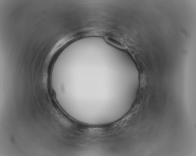 X0000112070150200908251050