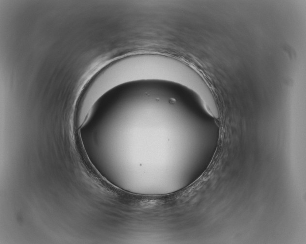 X0000112070152200908251050