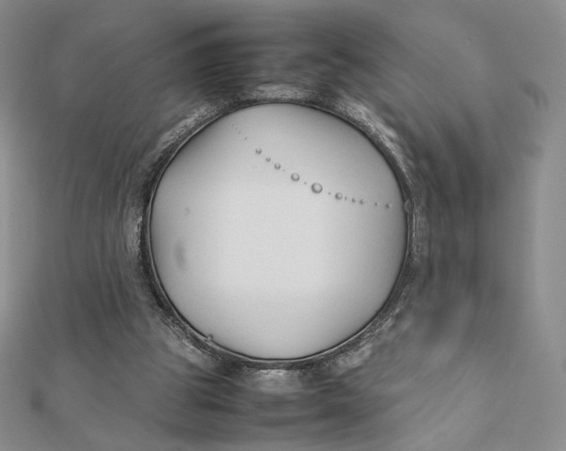 X0000112070153200908251050