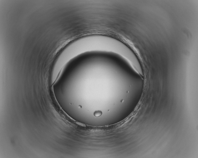 X0000112070154200908251050