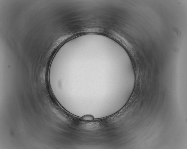 X0000112070155200908251050