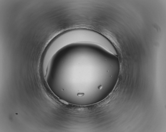X0000112070156200908251050