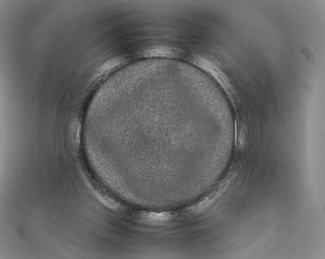 X0000112070157200908251050