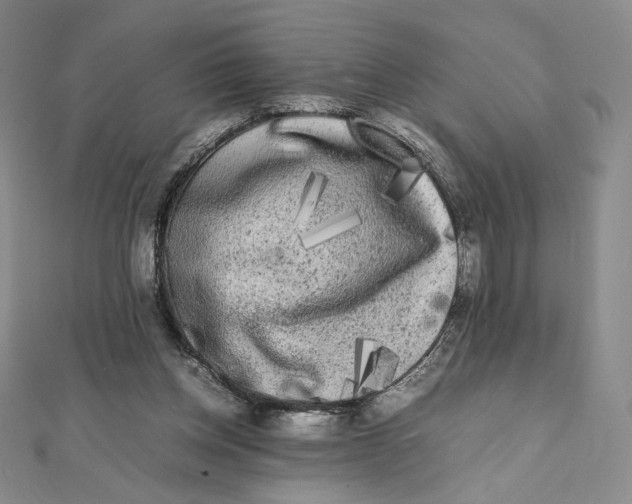 X0000112070158200908251050