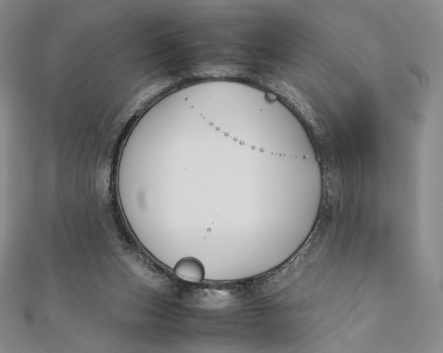X0000112070159200908251050