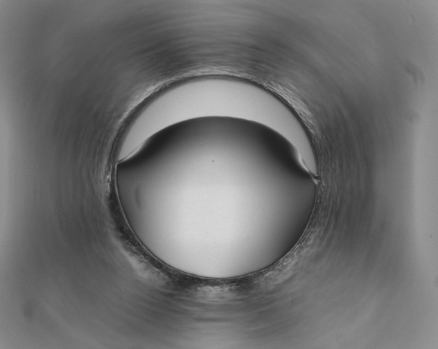 X0000112070160200908251050