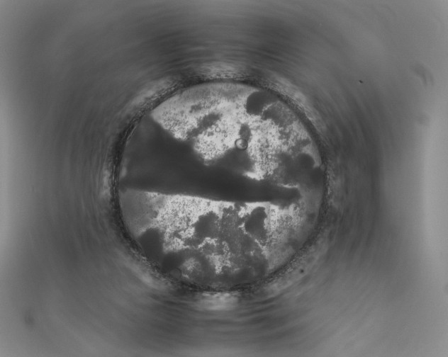 X0000112070161200908251050