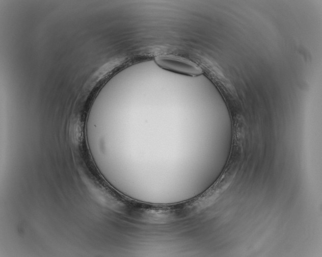 X0000112070164200908251050