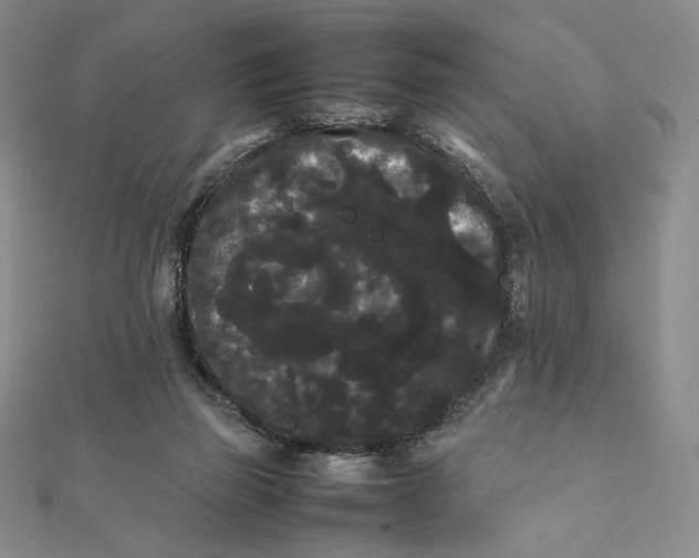 X0000112070165200908251050