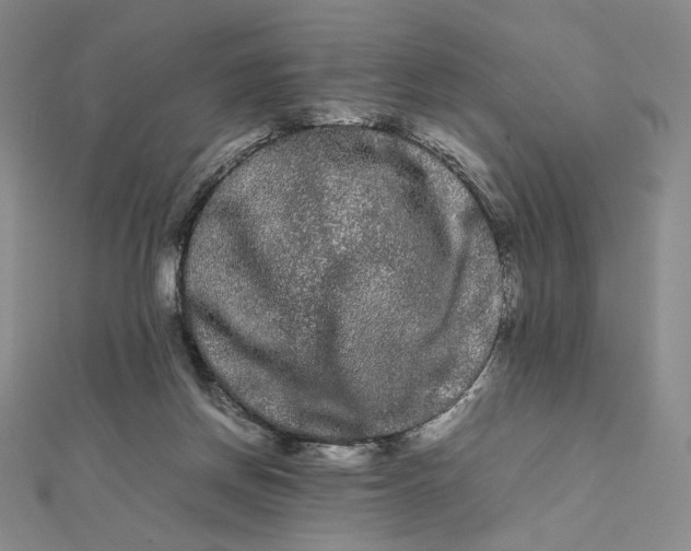 X0000112070166200908251050