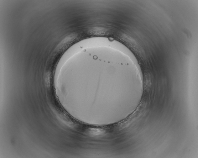 X0000112070167200908251050