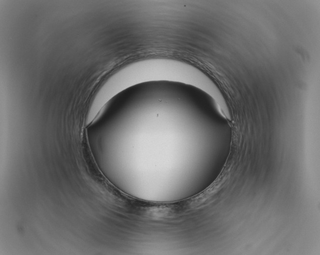 X0000112070168200908251050