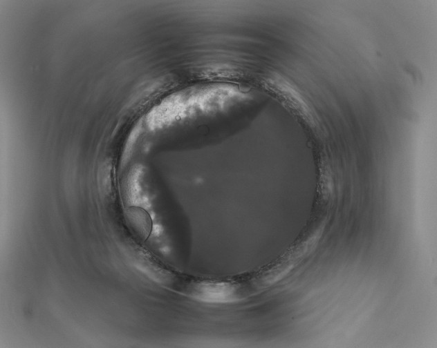 X0000112070169200908251050