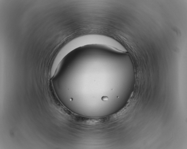 X0000112070172200908251050