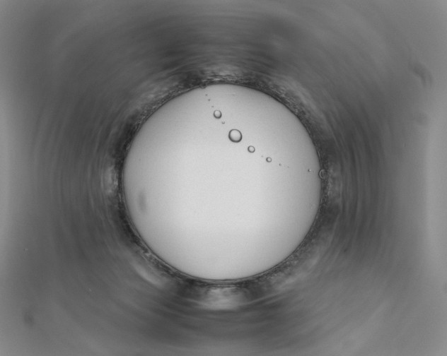 X0000112070173200908251050