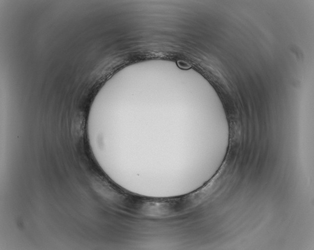 X0000112070174200908251050