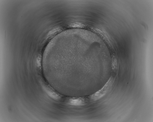 X0000112070175200908251050