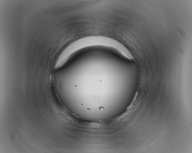 X0000112070176200908251050