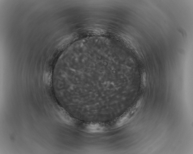 X0000112070177200908251050