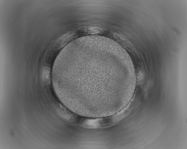 X0000112070178200908251050