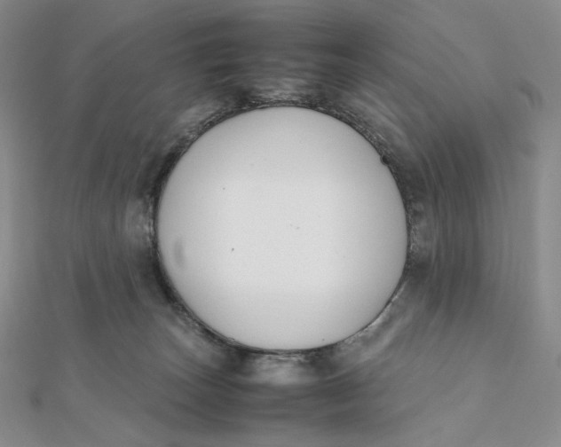 X0000112070179200908251050