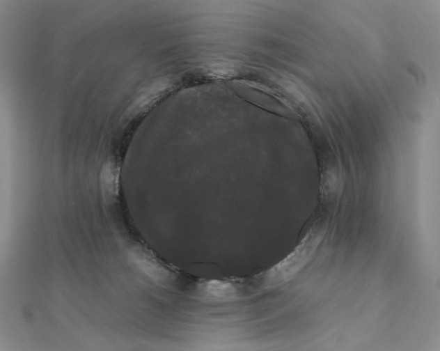 X0000112070180200908251050