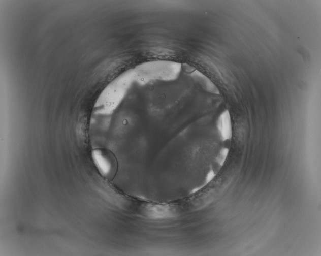 X0000112070181200908251051