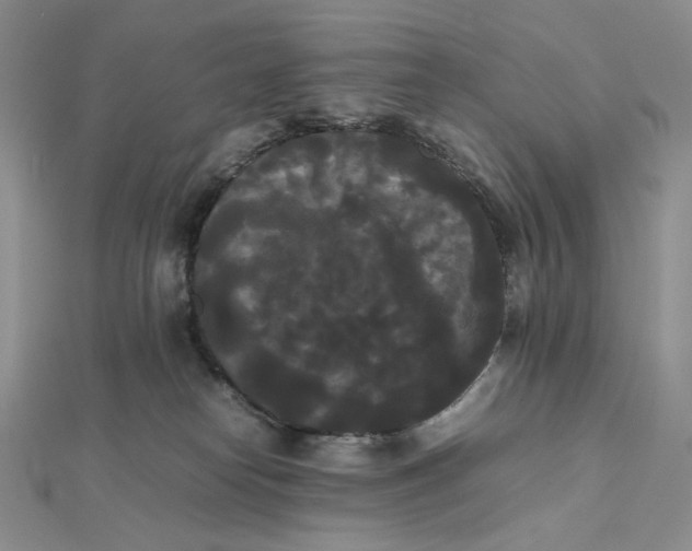 X0000112070182200908251051