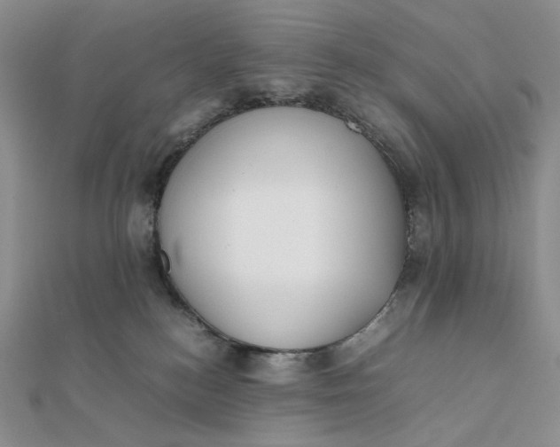X0000112070184200908251051