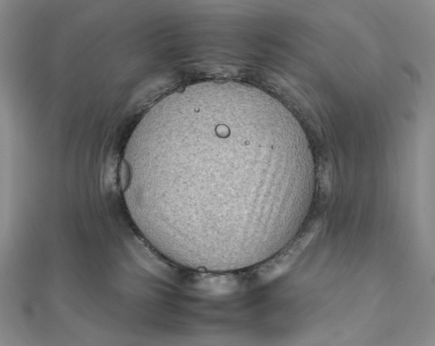 X0000112070185200908251051