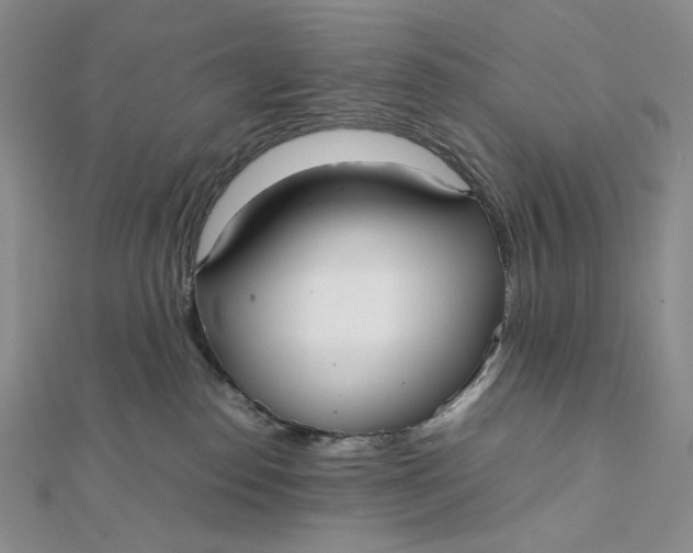 X0000112070186200908251051