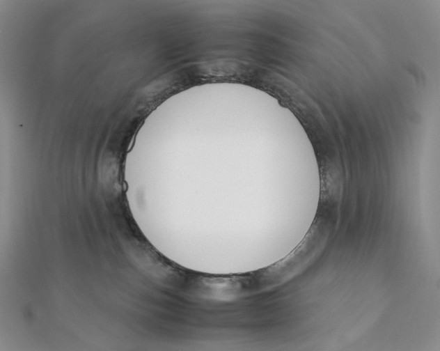 X0000112070187200908251051