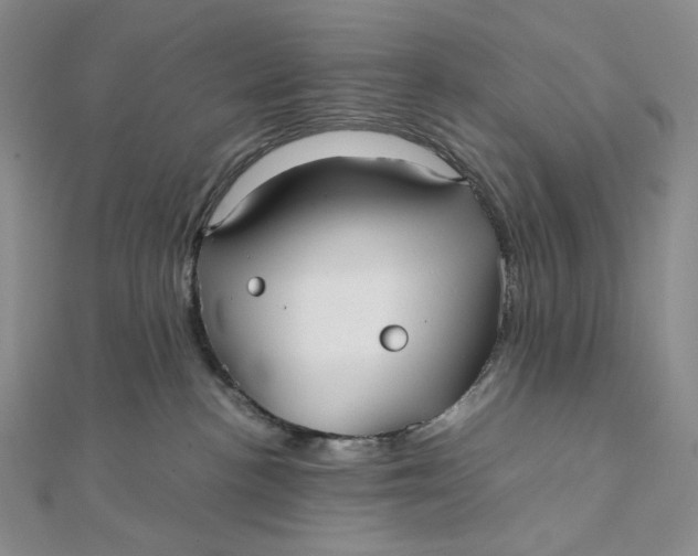X0000112070188200908251051