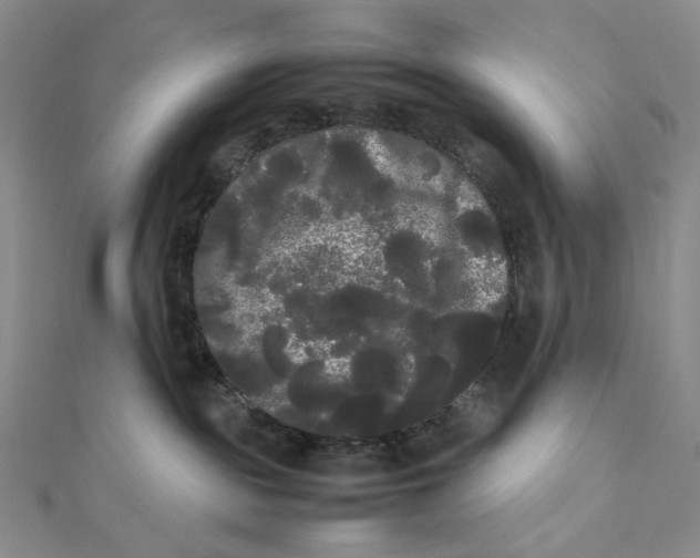 X0000112070189200908251051