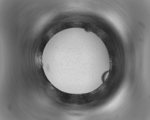 X0000112070190200908251051