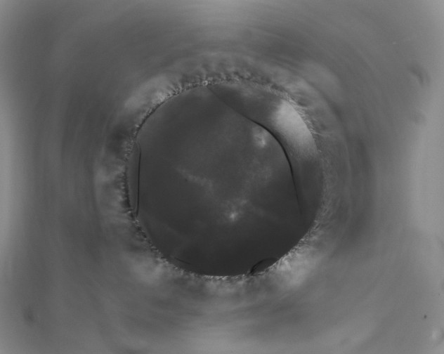 X0000112070192200908251051