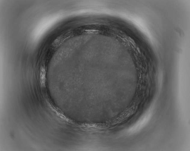 X0000112070194200908251050