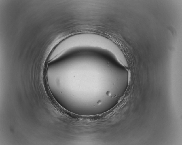 X0000112070195200908251050
