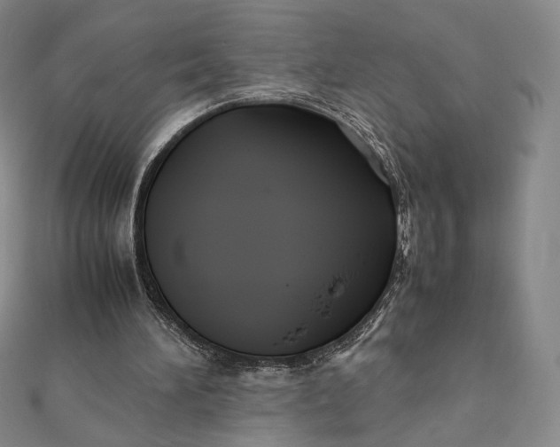 X0000112070196200908251050