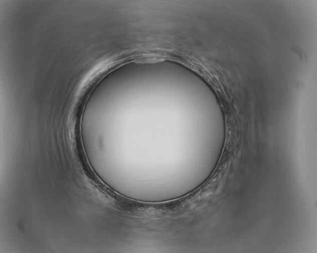 X0000112070197200908251050
