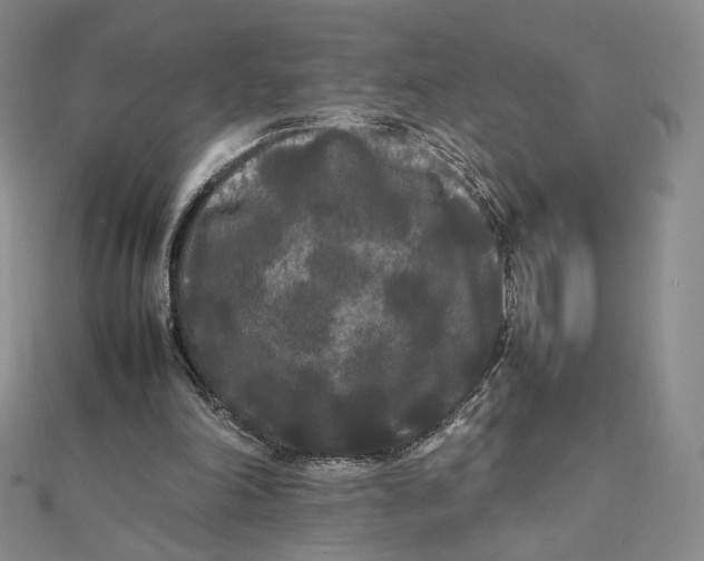 X0000112070198200908251050