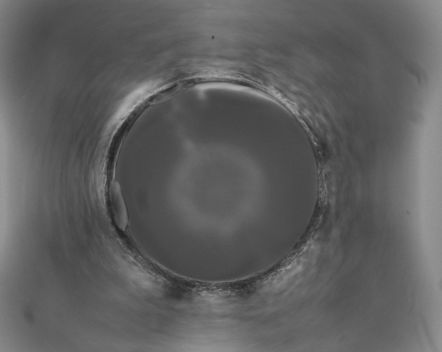 X0000112070199200908251050