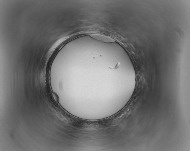 X0000112070200200908251050