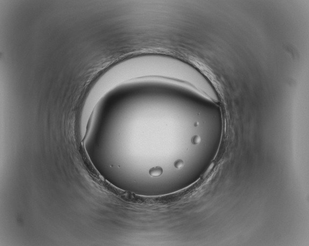 X0000112070201200908251050