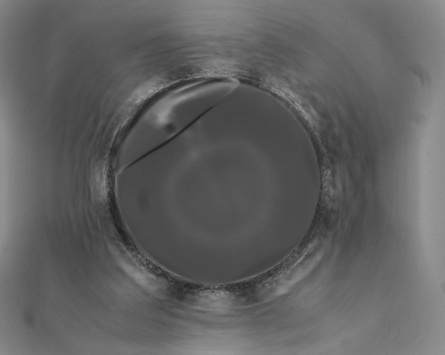 X0000112070203200908251050