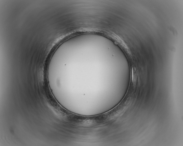 X0000112070204200908251050