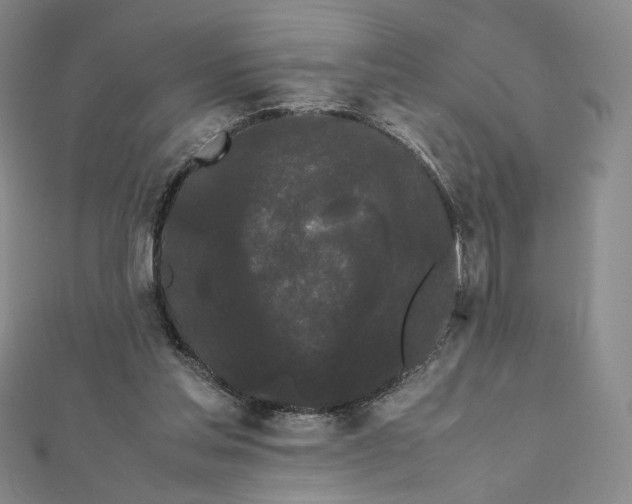 X0000112070205200908251050