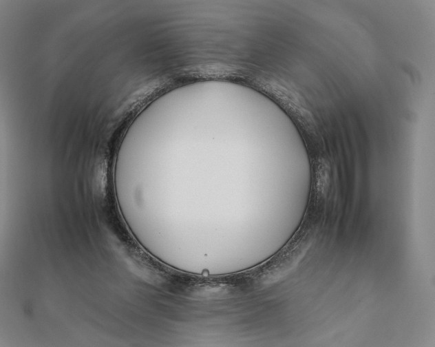 X0000112070206200908251050