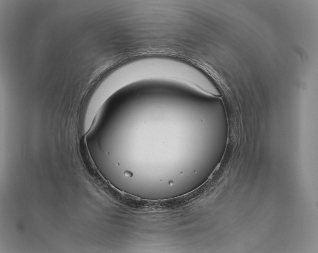 X0000112070207200908251050