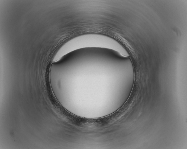 X0000112070209200908251050